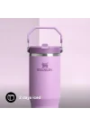 IceFlow Flip Straw Tumbler Pipetli Termos Bardak, 0.89 L