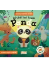 İçindeki Sesi Duyan Panda - Fenerle Ara Bul