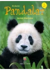 İlk Okuma - Pandalar