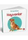 İlk Sözcüklerim - Hayvanlar