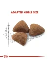 Indoor 27 Kuru Kedi Maması 2 kg