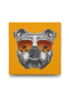 İngiliz Bulldog Tablosu - 60x60cm