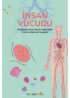 İnsan Vücudu