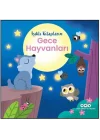 Işıklı Kitaplarım: Gece Hayvanları