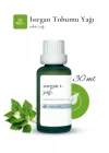 Isırgan Tohumu Yağı 30 ml - Soğuk Sıkım
