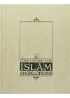 İslam Ansiklopedisi Cilt: 33