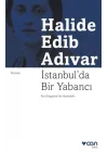 İstanbulda Bir Yabancı