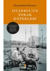İstanbul’un Sokak Köpekleri