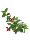 Jojoba Yağı 20ml.
