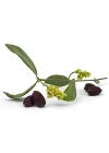 Jojoba Yağı 20ml.