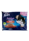 Junior Yavru Yaş Kedi Maması 85gr 4lü