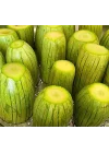 KABAK DOLMALIK (ÇOKLU TOHUM) - 10 Gram