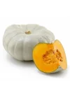 KABAK KIŞ (ÇOKLU TOHUM) - 10 Gram