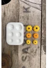 Kabak Mini Altılı Mum Kalıbı (Silikon)