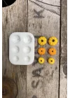 Kabak Mini Altılı Mum Kalıbı (Silikon)