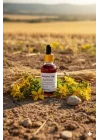 Kantaron Yağı 100 ML - Saf Bitkisel Yağ, BTY-ADY49034