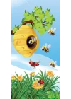 Kapı Giydirme Kapı Sticker Folyosu Arı Kovan