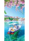 Kapı Giydirme Kapı Sticker Folyosu Assos