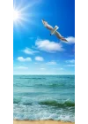 Kapı Giydirme Kapı Sticker Folyosu Deniz Manzara
