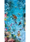 Kapı Giydirme Kapı Sticker Folyosu Sualtı Dünyası