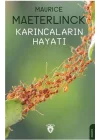 Karıncaların Hayatı