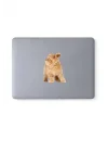 Karışık 130 adet sevimli kediler notebook, tablet, telefon sticker seti (10 sayfa) Tek Ebat
