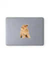 Karışık 130 adet sevimli kediler notebook, tablet, telefon sticker seti (10 sayfa) Tek Ebat