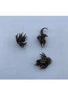Karışık Şakayık Çiçeği Yumrusu (1 Kök)