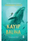 Kayıp Balina