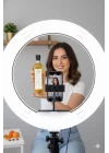 Kayısı Çekirdeği Yağı 500 ML -, BTY-ADY46682
