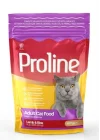 Kedi Mama Kuzu Etli&Pirinçli 400 Gr.