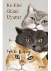 Kediler Güzel Uyanır