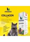 Kediler için Kolajen Damla 50 ml