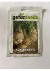 KEREVİZ (ÇOKLU TOHUM) - 3 Gram