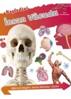 Keşfedin! İnsan Vücüdu