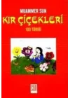 Kır Çiçekleri
