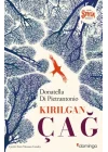 Kırılgan Çağ