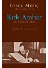 Kırk Ambar Cilt 2: Lehçe-t-ül Hakayık