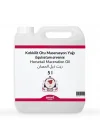 Kırkkilit Otu Maserasyon Yağı Equisetum arvense 5 litre