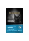 Konserve Kedi Pouch Somon Kısır 85 gr