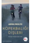 Köpekbalığı Dişleri