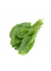 KUZUKULAĞI EKŞİ (ÇOKLU TOHUM) - 3 Gram