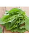 KUZUKULAĞI EKŞİ (ÇOKLU TOHUM) - 3 Gram