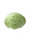 LAHANA BEYAZ (ÇOKLU TOHUM) - 5 Gram