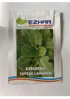 LAHANA KARADENİZ (ÇOKLU TOHUM) - 5 Gram