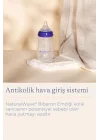 Lansinoh Biberon Başlangıç Seti