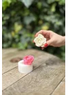 Laui Sukulent Mum Kalıbı (Silikon)
