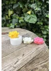 Laui Sukulent Mum Kalıbı (Silikon)