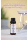 Lavanta Uçucu Yağı 1 Paket (1 X 10 Ml)