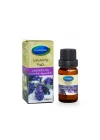 Lavanta Yağı 10 Ml